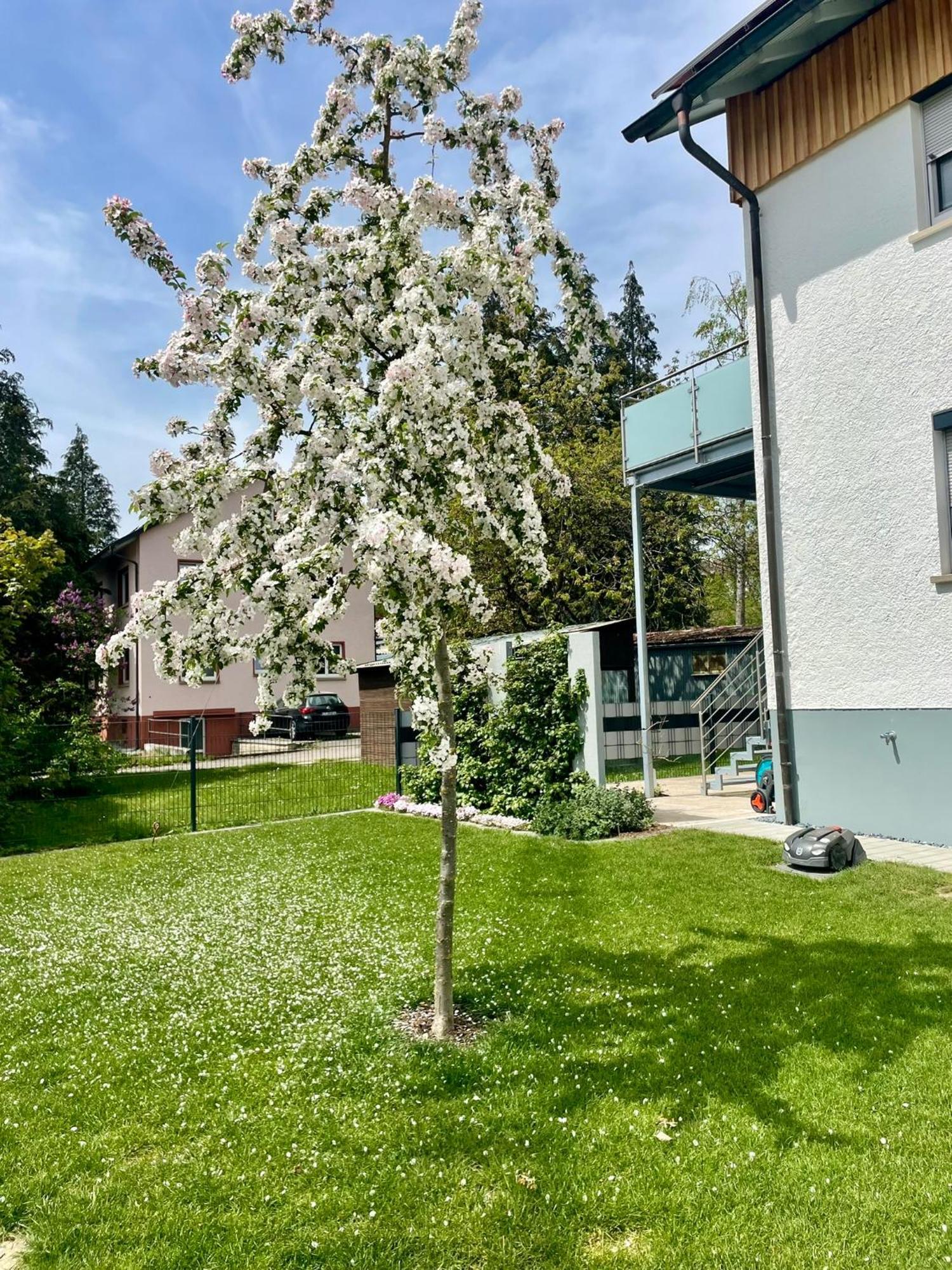 Anitas Ferienwohnung Messkirch Kültér fotó
